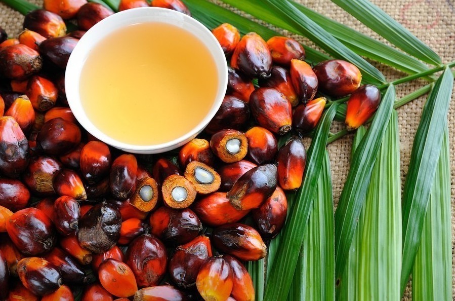 Описание изображения